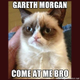 Image for article titled New Zealand environmental activist wants to ban cats as pets